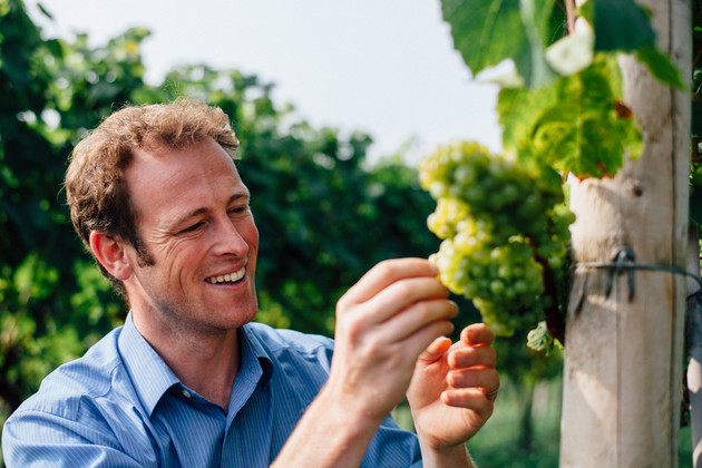Chris Chinn is looking for a distributor for his English wines 