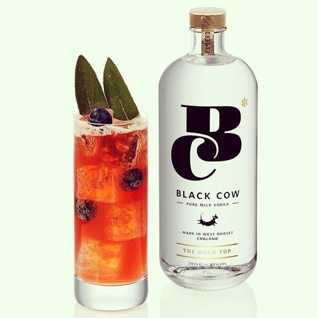 Milkbased vodka to launch into US and Australia with new appointment Harpers Wine & Spirit