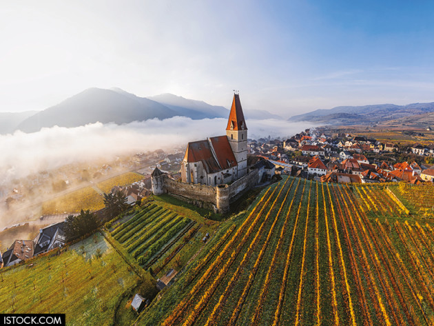 Austria: Tasting truths  - Harpers Wine & Spirit Trade News