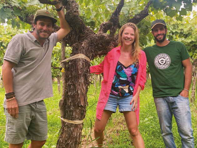 Criolla calling - Harpers Wine & Spirit Trade News