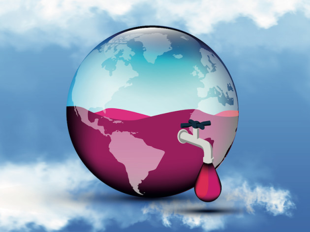 ‘National spirits’ lead global beverage alcohol decline over 2025