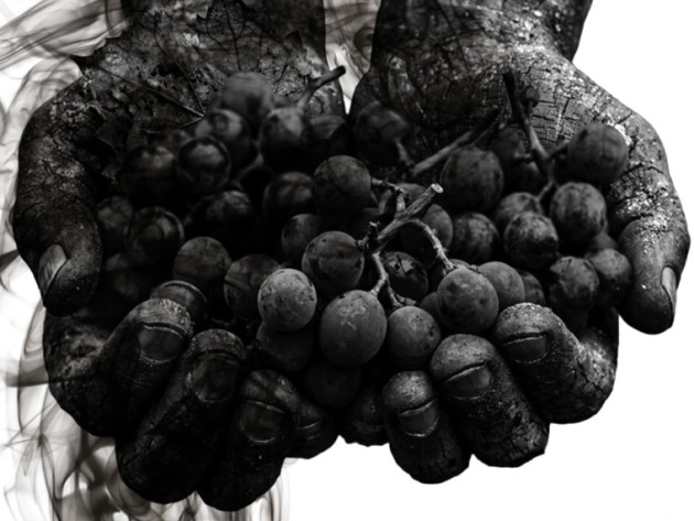 California in crisis: Overproduction, market slump and tariff trouble - Harpers Wine & Spirit Trade News