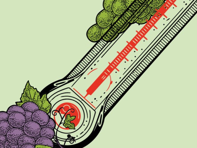 IWCA roundtable: Climate change poses existential threats to wine - Harpers Wine & Spirit Trade News