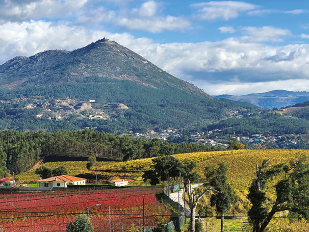 Pursuing premium in Vinhos Verdes - Harpers Wine & Spirit Trade News