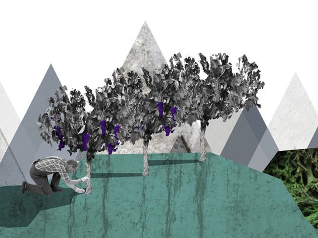 Tasting Climate Change, Montreal: Charting the plethora of potential impacts - Harpers Wine & Spirit Trade News