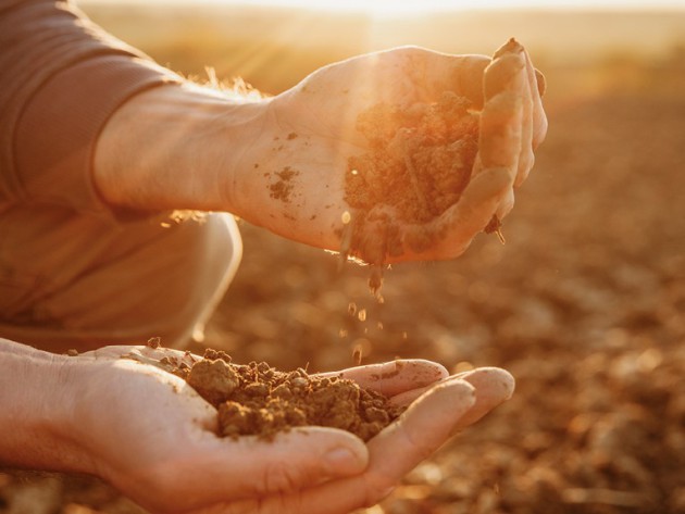 Dishing the Dirt  - Harpers Wine & Spirit Trade News