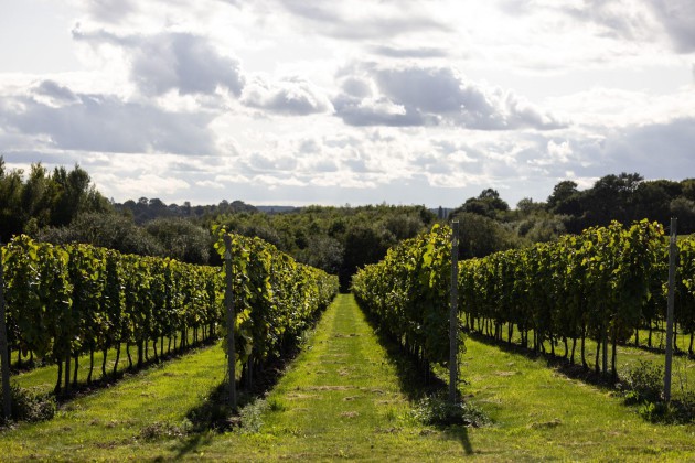 Taste of England competition launched by Chapel Down - Harpers Wine & Spirit Trade News