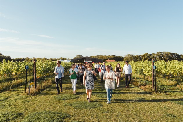 New UK Vineyard Guide set to support wine tourism - Harpers Wine ...