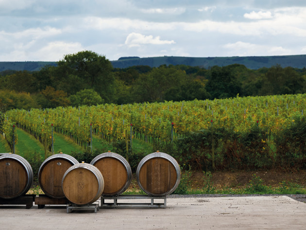 English still wine emerges from fizz shadow - Harpers Wine & Spirit Trade News