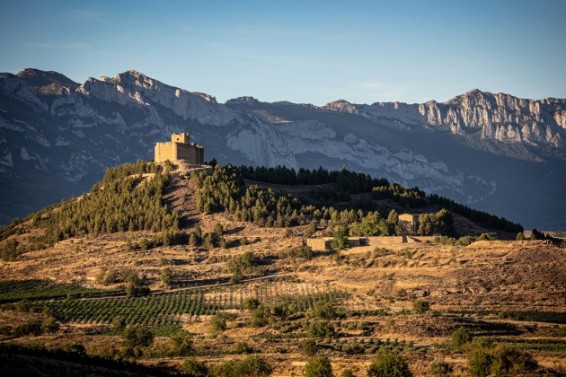 Rioja launches initiative to connect importers with unrepresented wines - Harpers Wine & Spirit Trade News