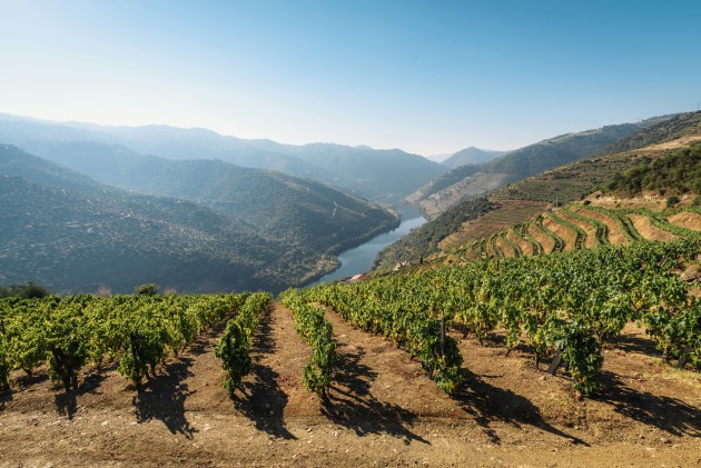 Port wine festival to hold inaugural UK event in June - Harpers Wine & Spirit Trade News