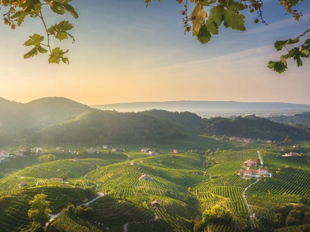 Italy report: Proseccos new horizon - Harpers Wine & Spirit Trade News