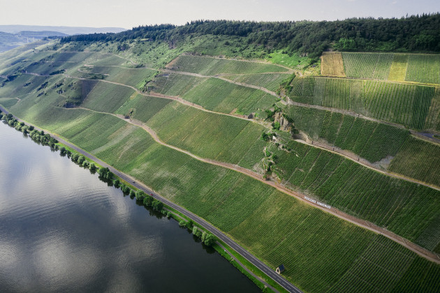 Enotria introduces host of new estates - Harpers Wine & Spirit Trade News