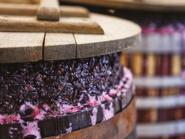 France report: Trends in French wine - Harpers Wine & Spirit Trade News