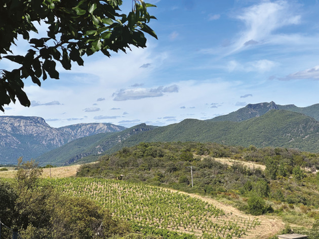 France report: Languedocs rich tapestry mapped - Harpers Wine & Spirit Trade News