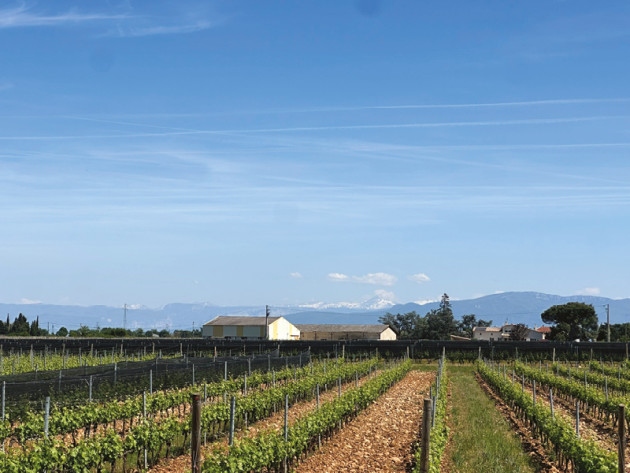 France report: A new generation in the Rhône - Harpers Wine & Spirit Trade News