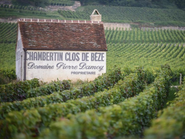 Louis Roederer acquires Burgundys Domaine Pierre Damoy - Harpers Wine & Spirit Trade News